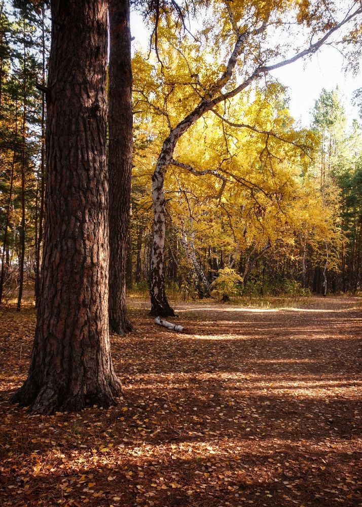 Фотография автора Марина
