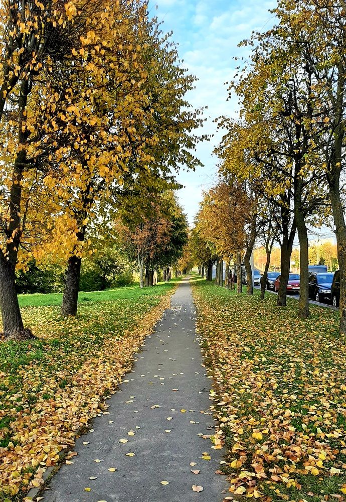 Фотография автора Моисеева Ольга