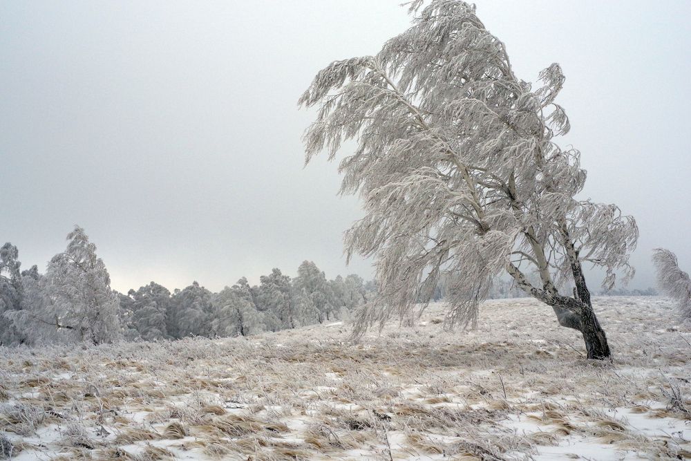 Photograph by Рашит Чумарин