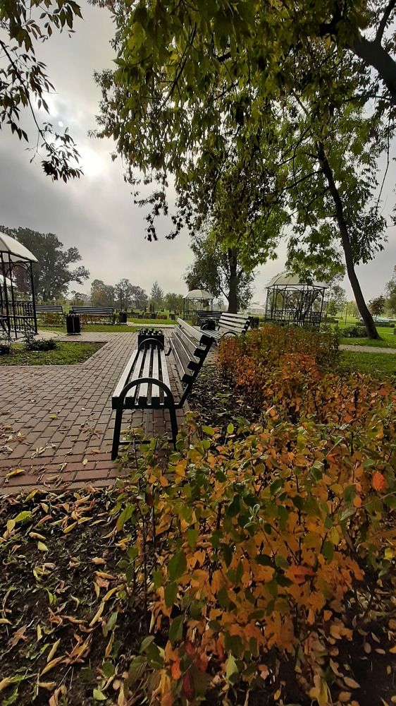 Фотография автора Моисеева Ольга