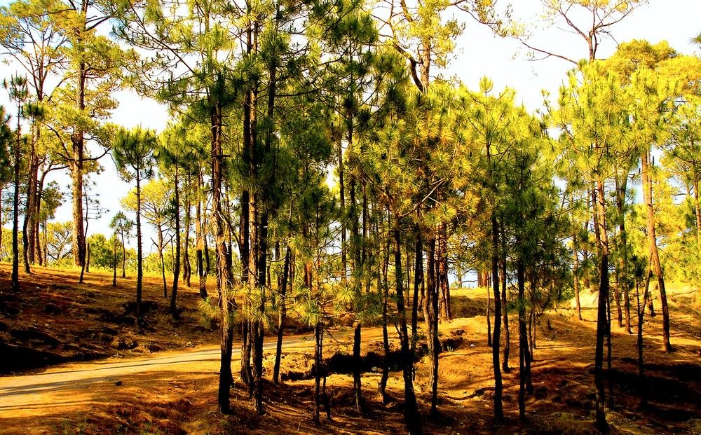 Photograph by Ritu Dinkar