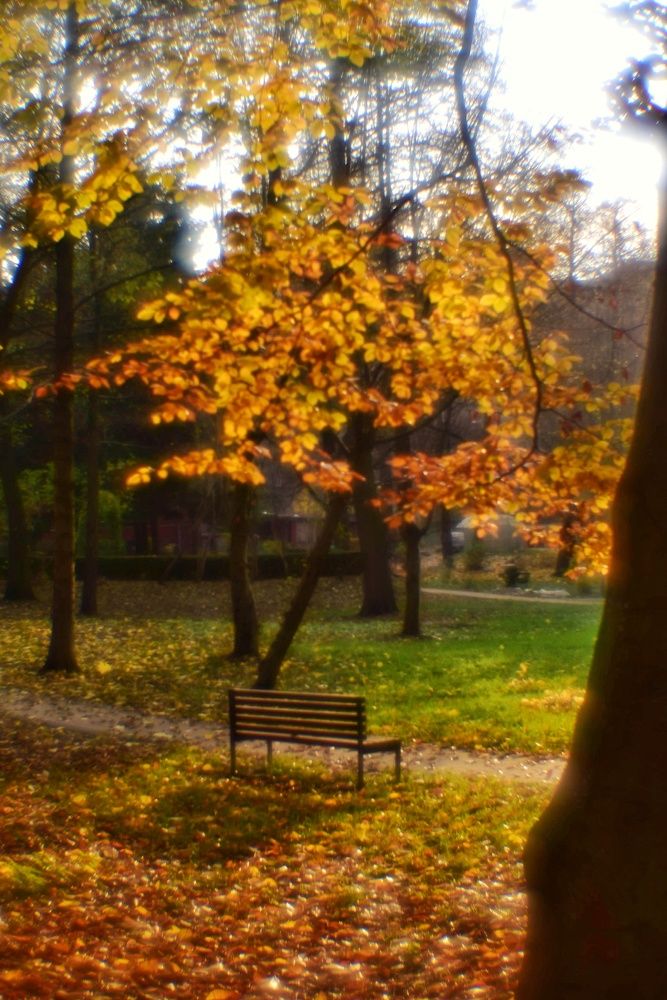 Photograph by Владимир Леликов-Кузьменко