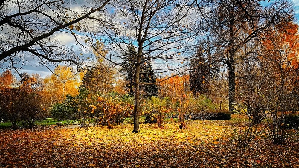 Photograph by Алексей Каширский