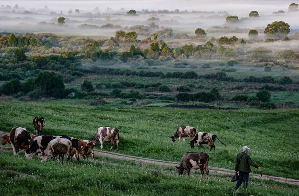 Photograph by Назаров Александр