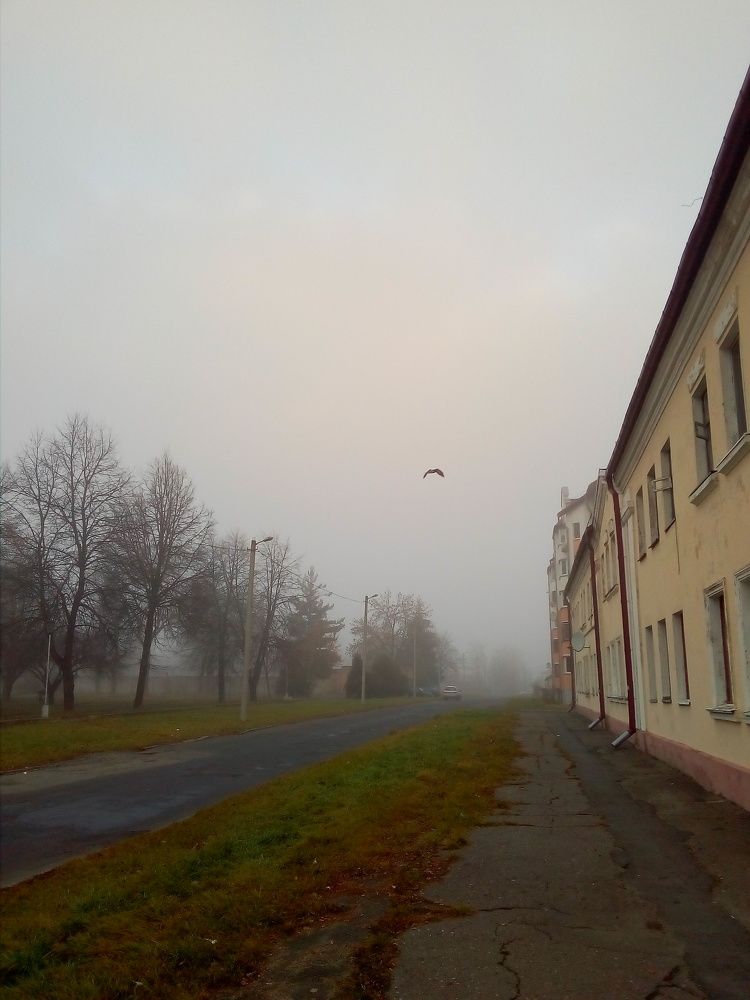 Photo #6750292