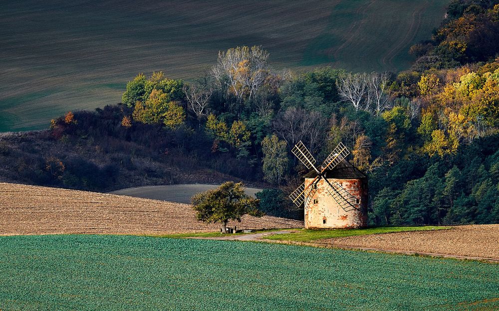 Photograph by Пётр Дедковский