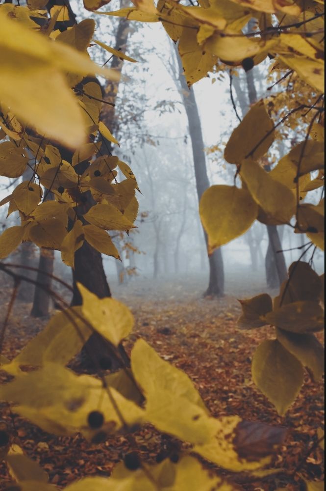 Photograph by Татьяна Слободчикова