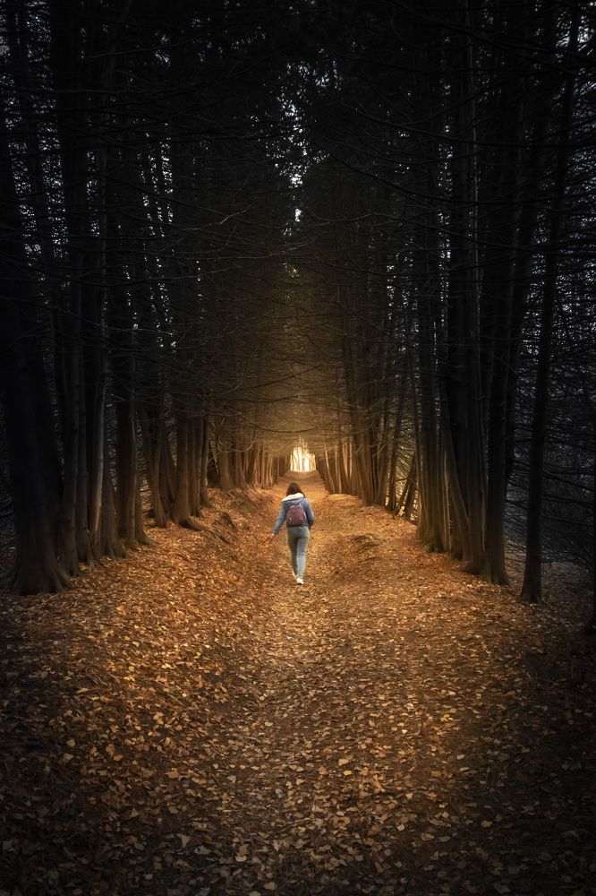 Photograph by Фомин Алексей