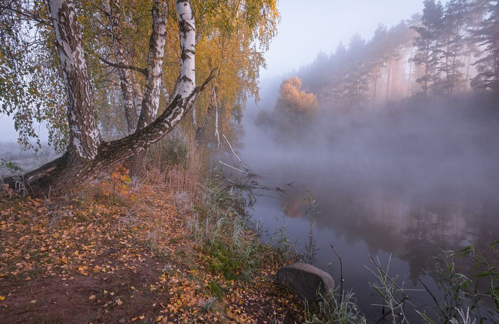 Photograph by Александр Гвоздь
