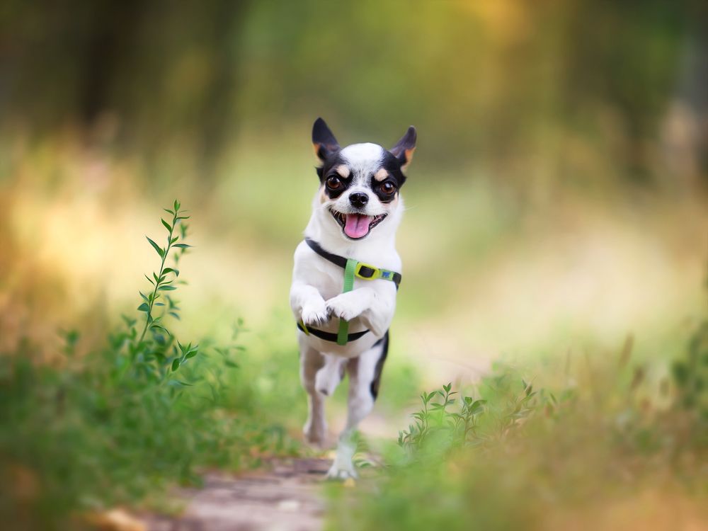 Photograph by Старостина Евгения