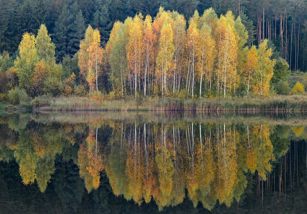 Photograph by Александр Гвоздь