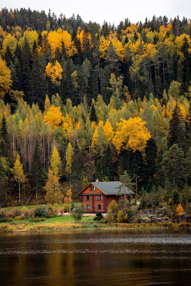 Фотография автора Александр Колдин
