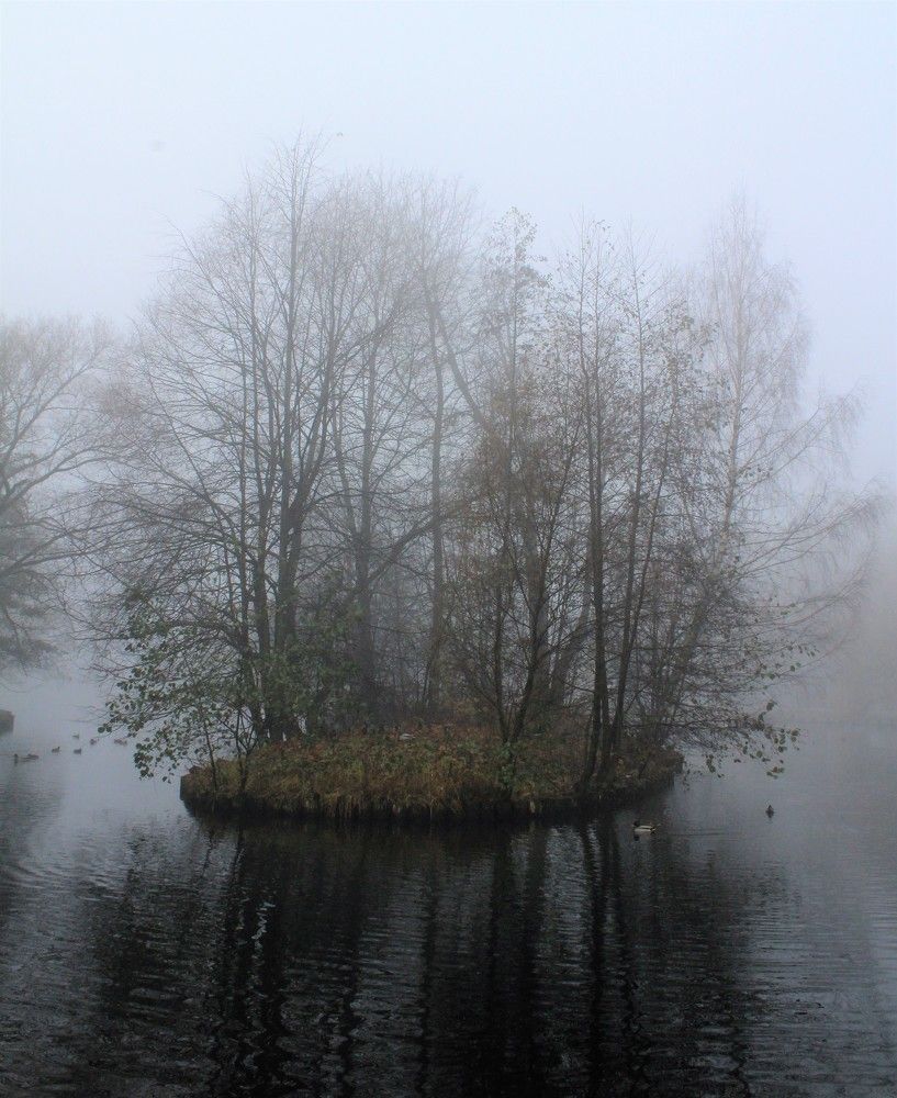 Photograph by Светлана Веселовская