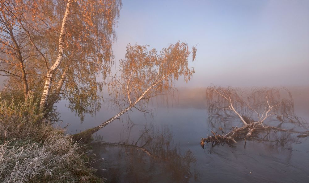 Photograph by Александр Гвоздь