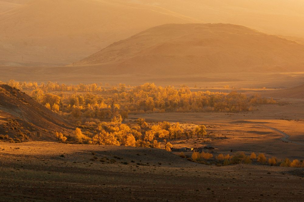 Photograph by Алексей Кретов