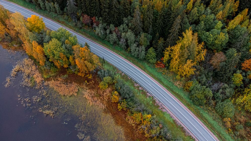 Фотография автора Александр Колдин