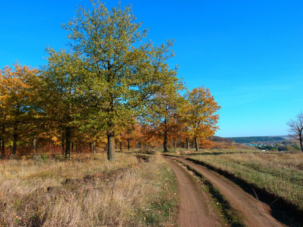 Photo #6750598