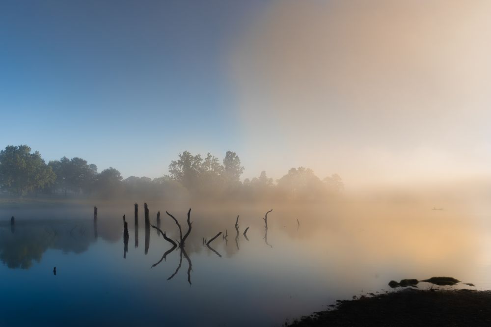 Photograph by Jason Lisher