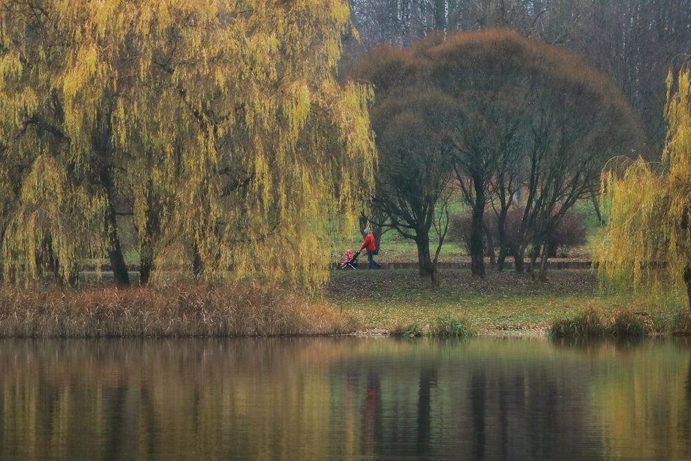 Photograph by Юлия Кулиева