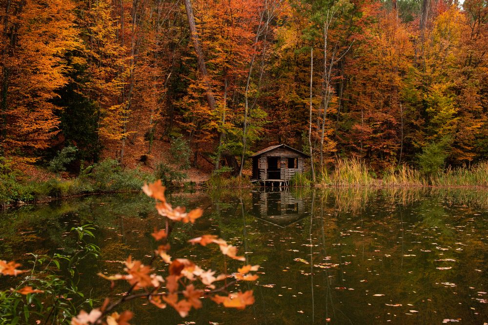 Photograph by Елена Казарян