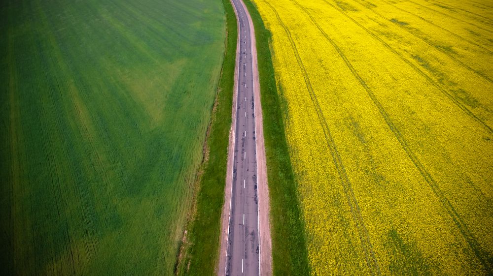 Photograph by Виктор Кабак