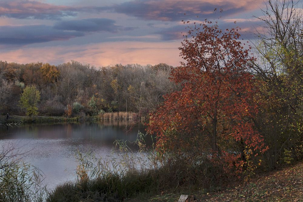 Photograph by Леонид Соснин