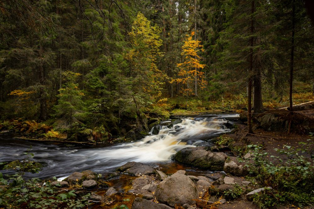 Фотография автора Александр Колдин
