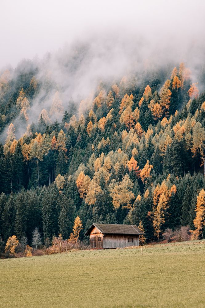 Photograph by Анастасия Сауль