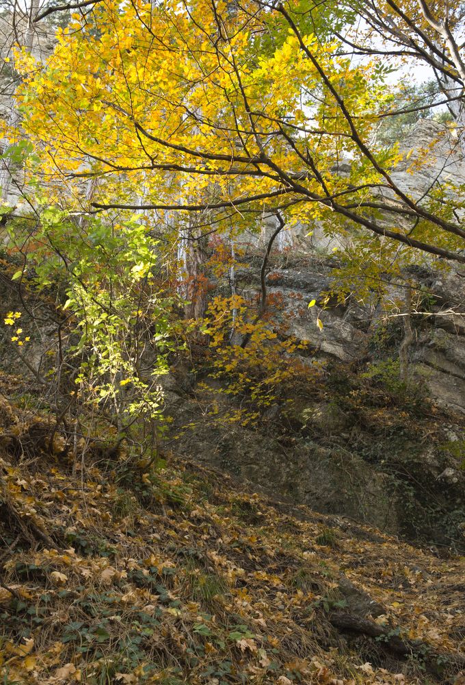 Photograph by Н. К.