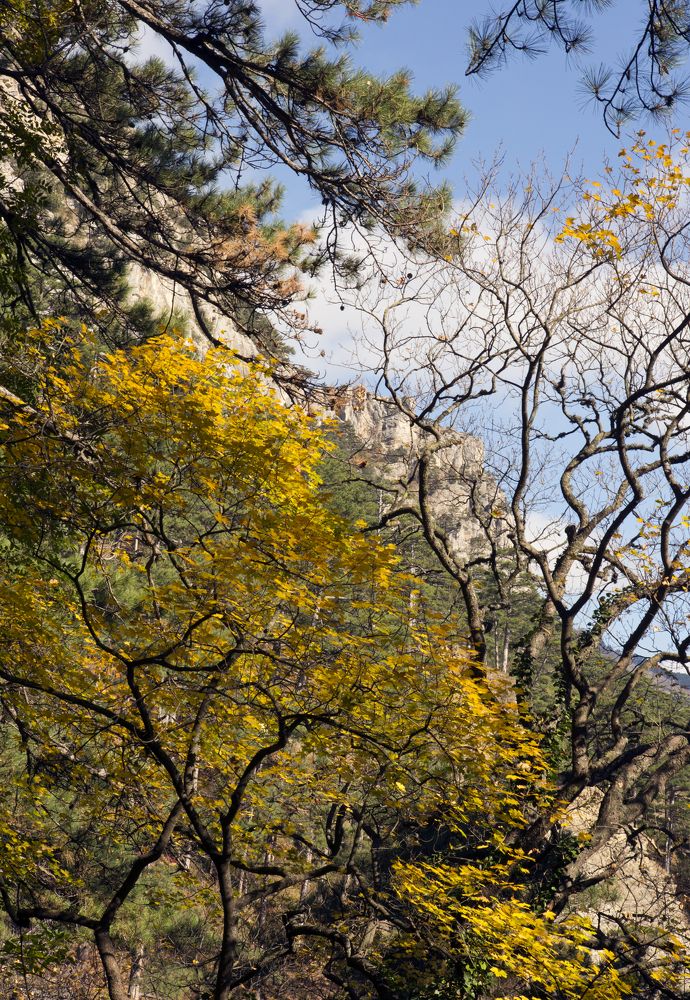 Photograph by Н. К.