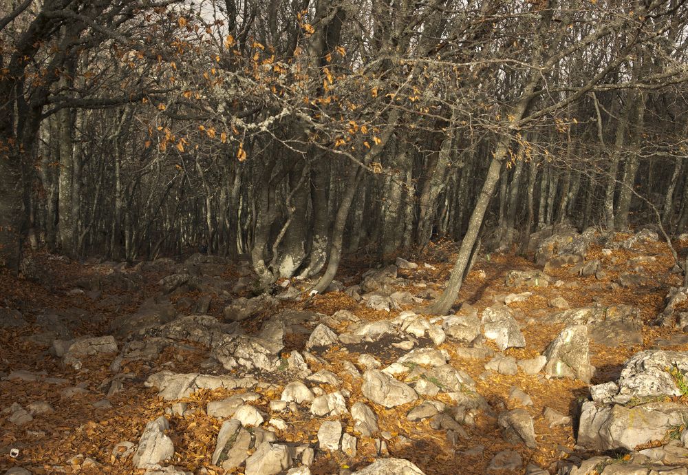 Photograph by Н. К.