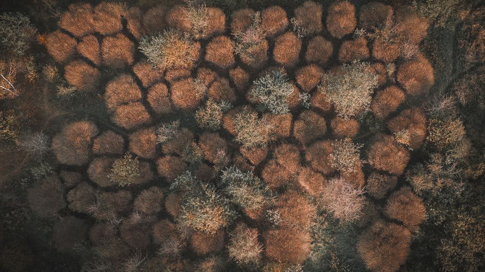 Photograph by Виктор Кабак