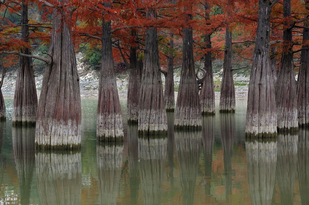 Photograph by Арсен Алабердов