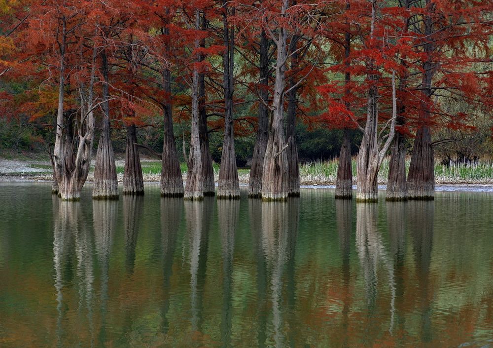 Photograph by Арсен Алабердов