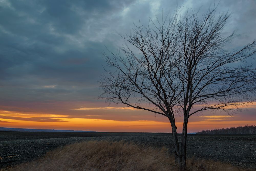 Photograph by Андрей