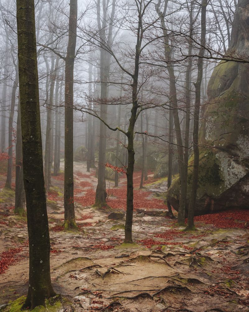 Photograph by SIARHEI RABCHONAK