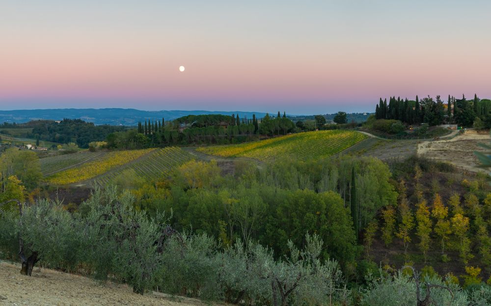 Photograph by Евгения Чех