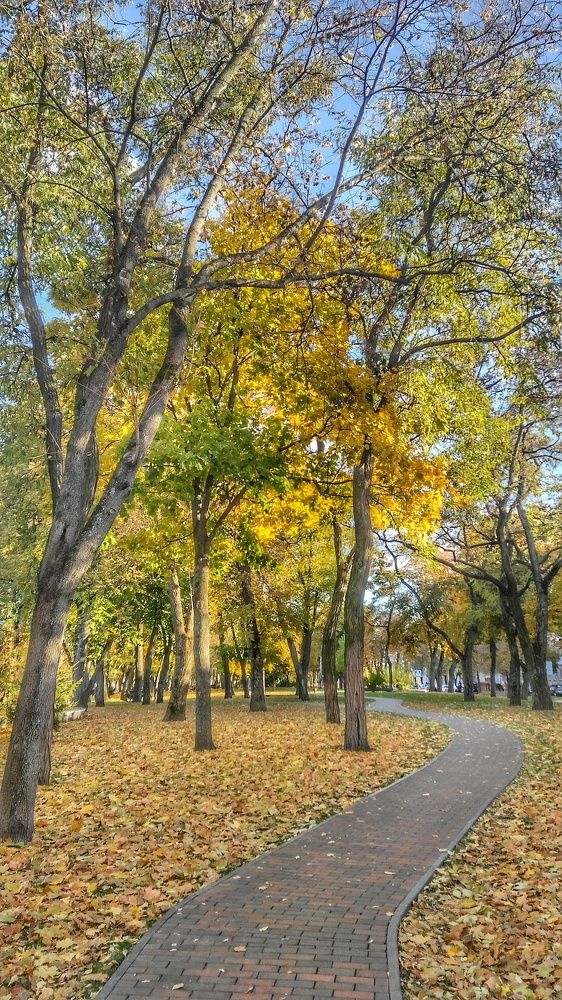 Photograph by Дарья