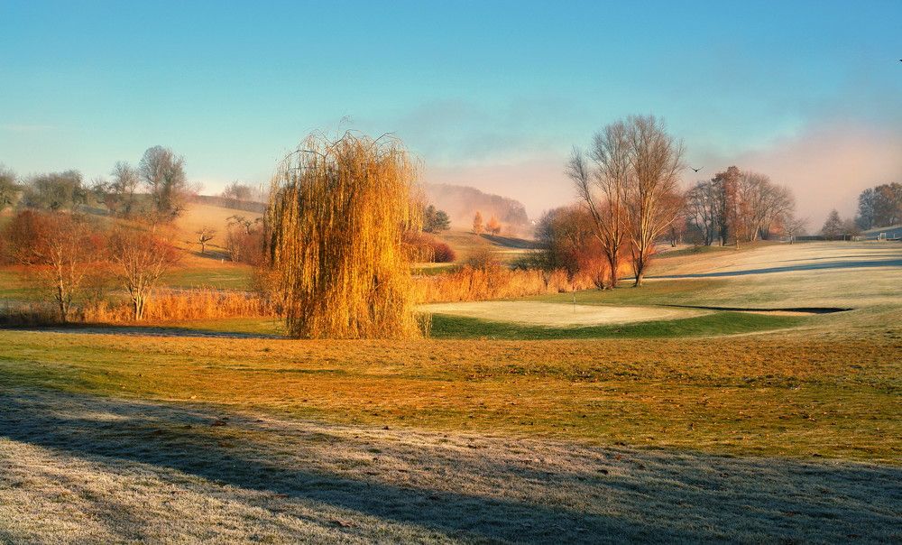 Photograph by Elena Wymann