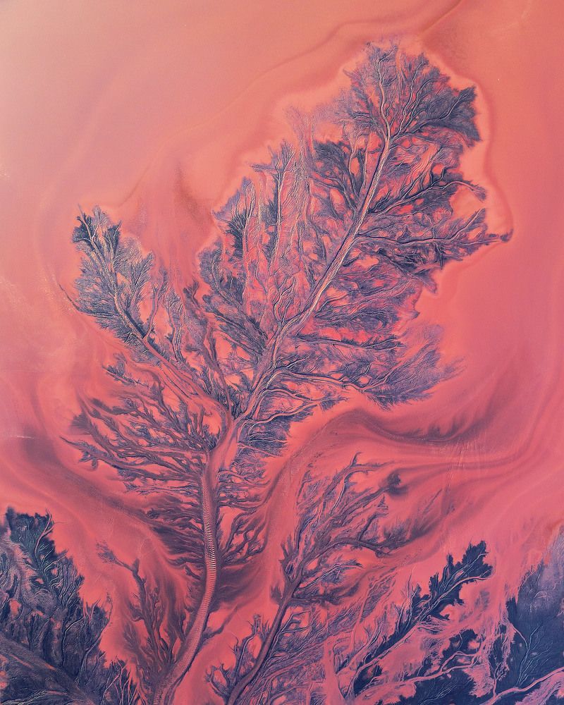 Photograph by Екатерина Ионенко