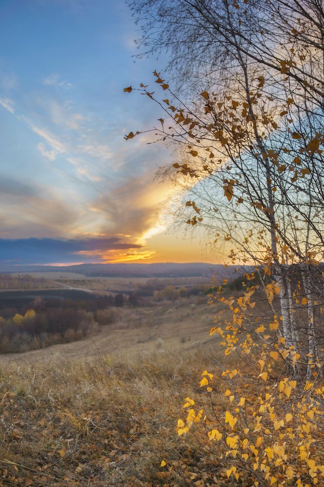 Photograph by Андрей