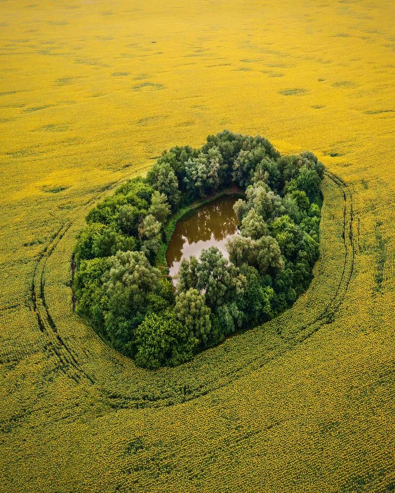 Photograph by Екатерина Ионенко