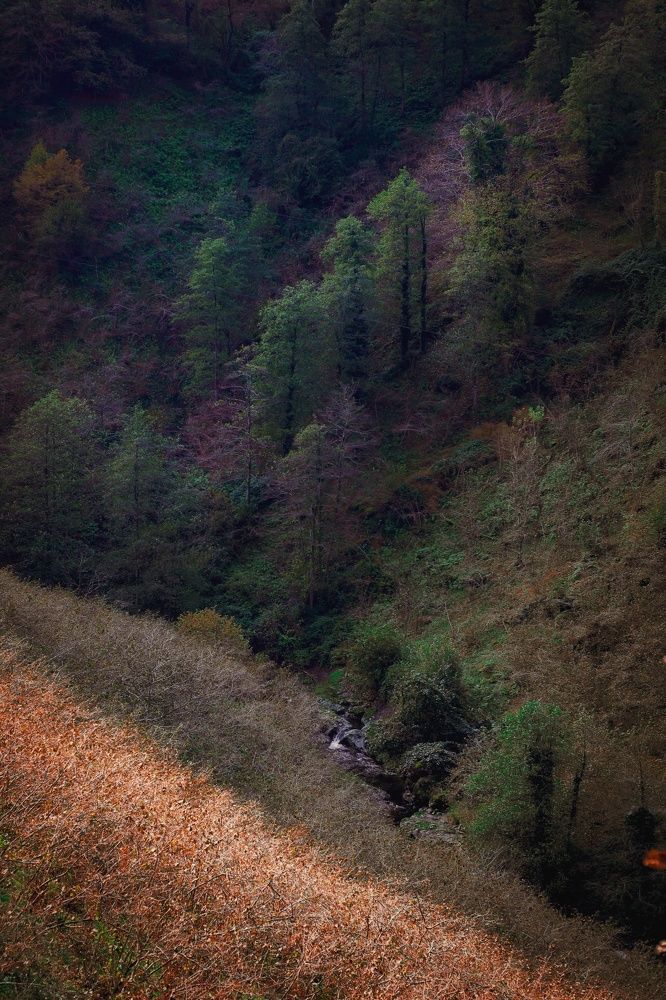 Photograph by Дарья Паранина