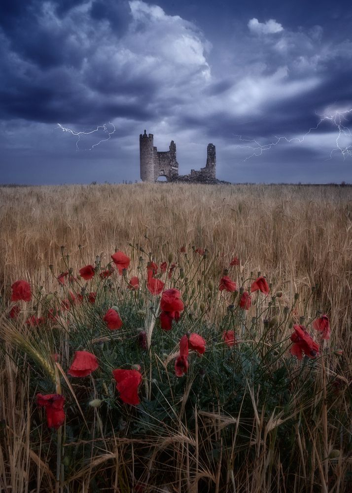 Photograph by Oscar Lata