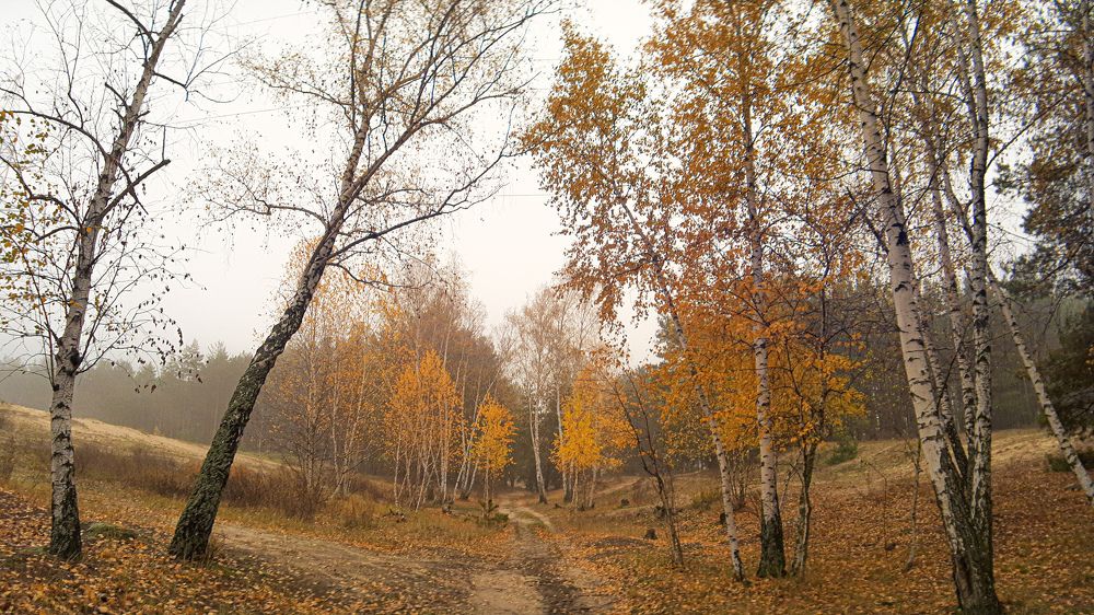 Photograph by Сергей Колос