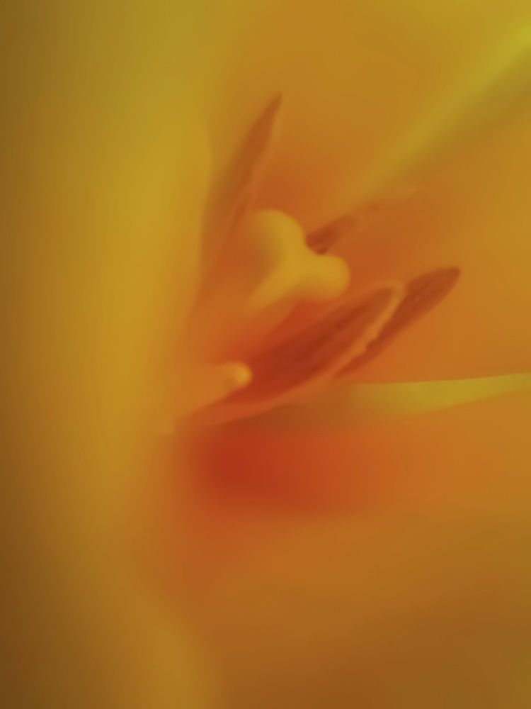 Photograph by Дарья Паранина