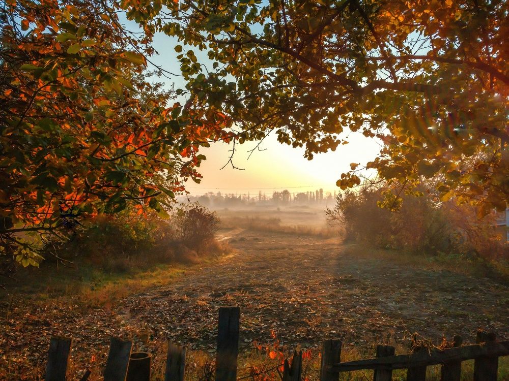 Photograph by Сергей Колос