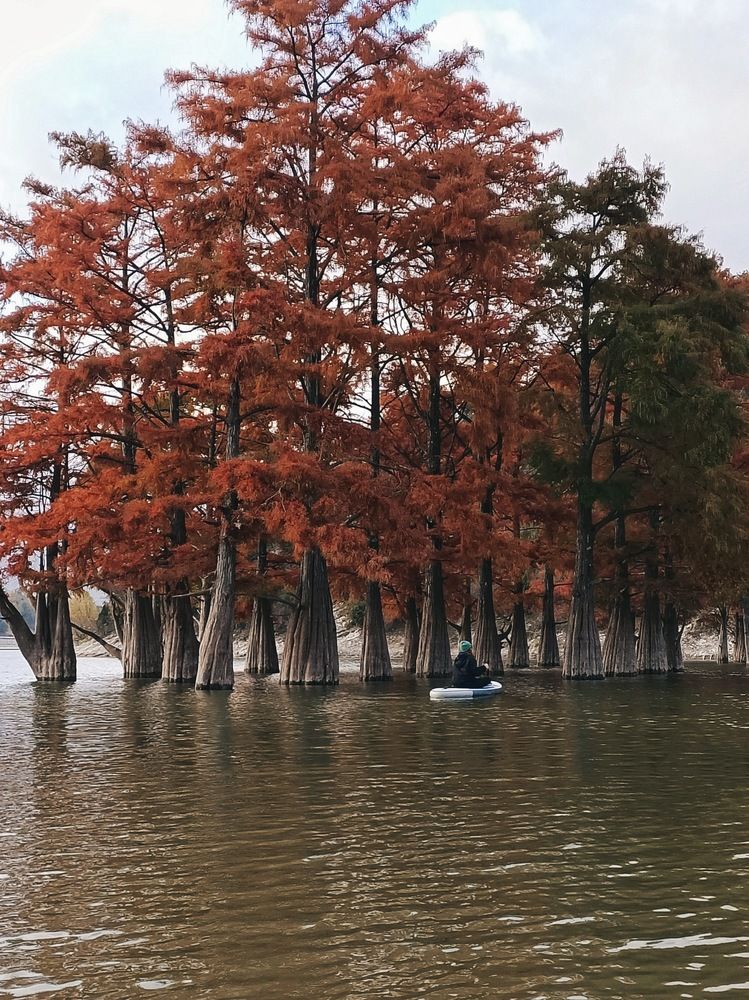 Photograph by Роман Красношапка