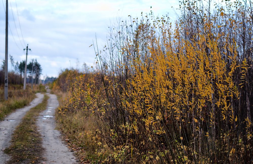 Photograph by Слава Саломатин