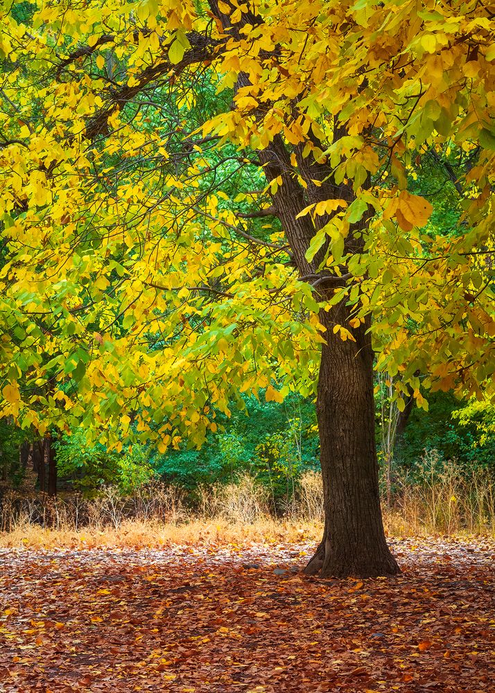 Photograph by sajjad saadat